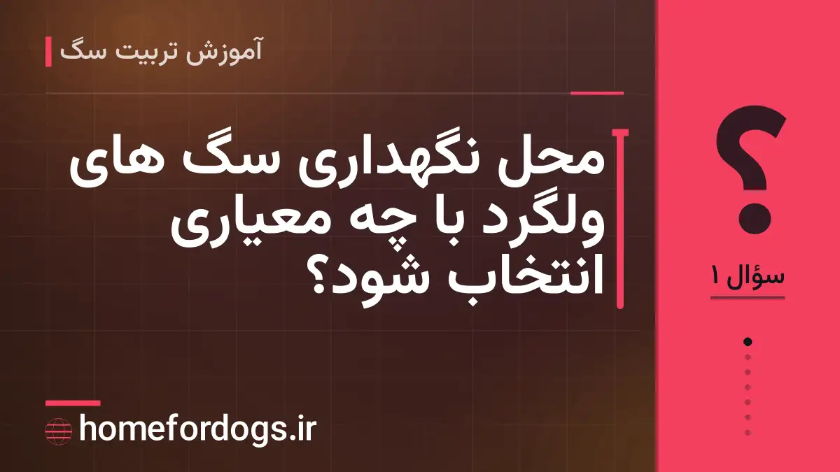 محل نگهداری سگ های ولگرد با چه معیاری انتخاب شود؟