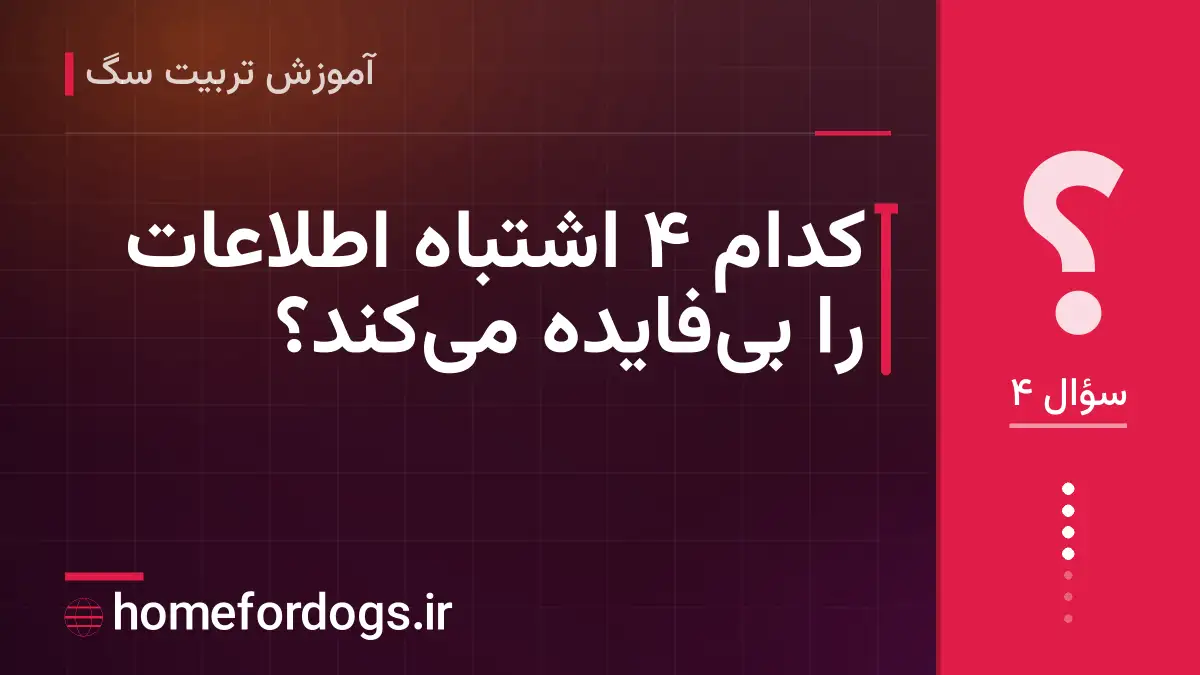 کدام ۴ اشتباه اطلاعات را بیفایده میکند؟
