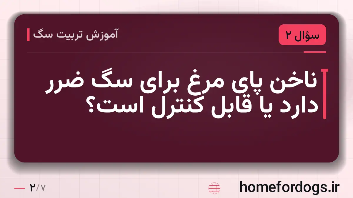 ناخن پای مرغ برای سگ ضرر دارد یا قابل کنترل است؟