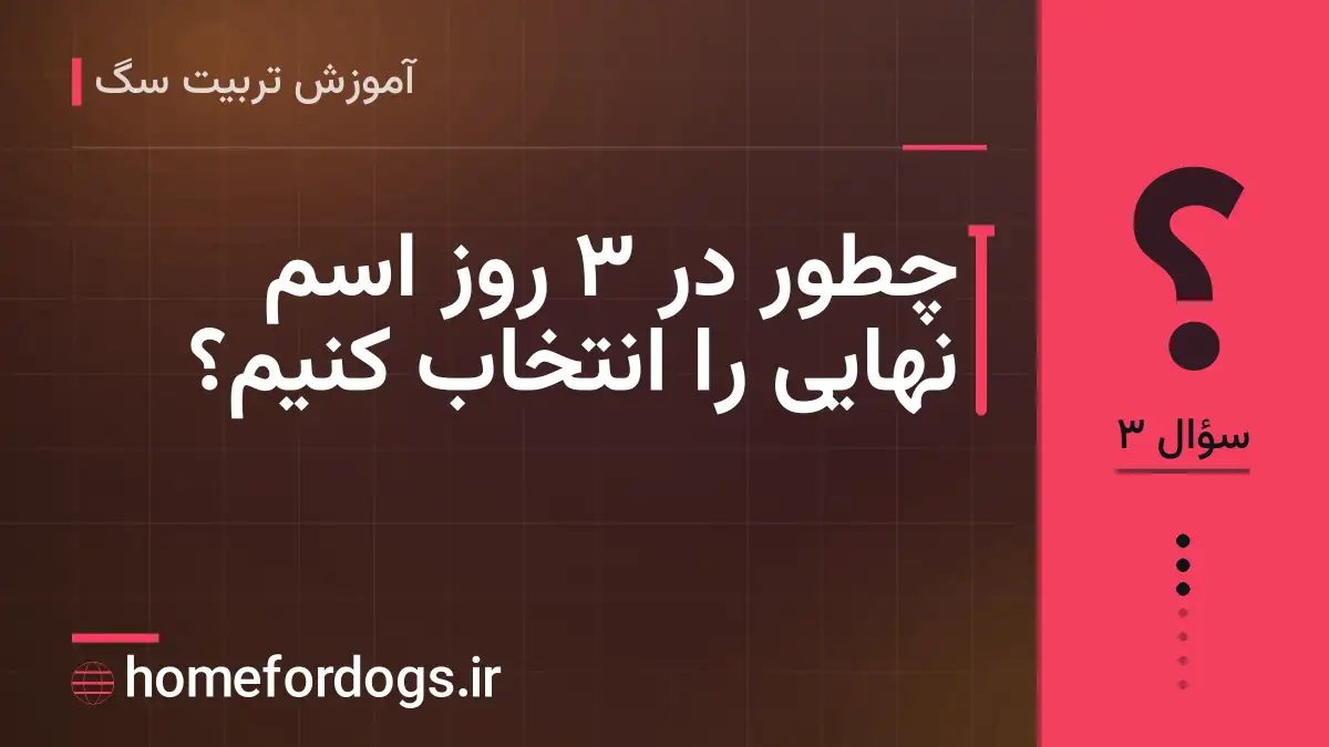 چطور در ۳ روز اسم نهایی را انتخاب کنیم؟