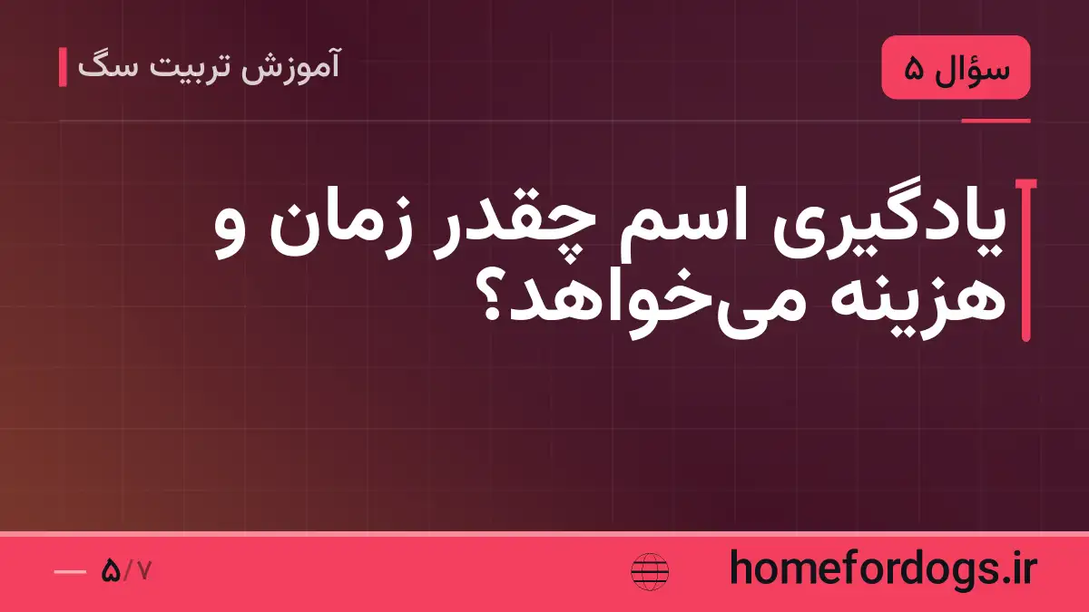 یادگیری اسم چقدر زمان و هزینه میخواهد؟