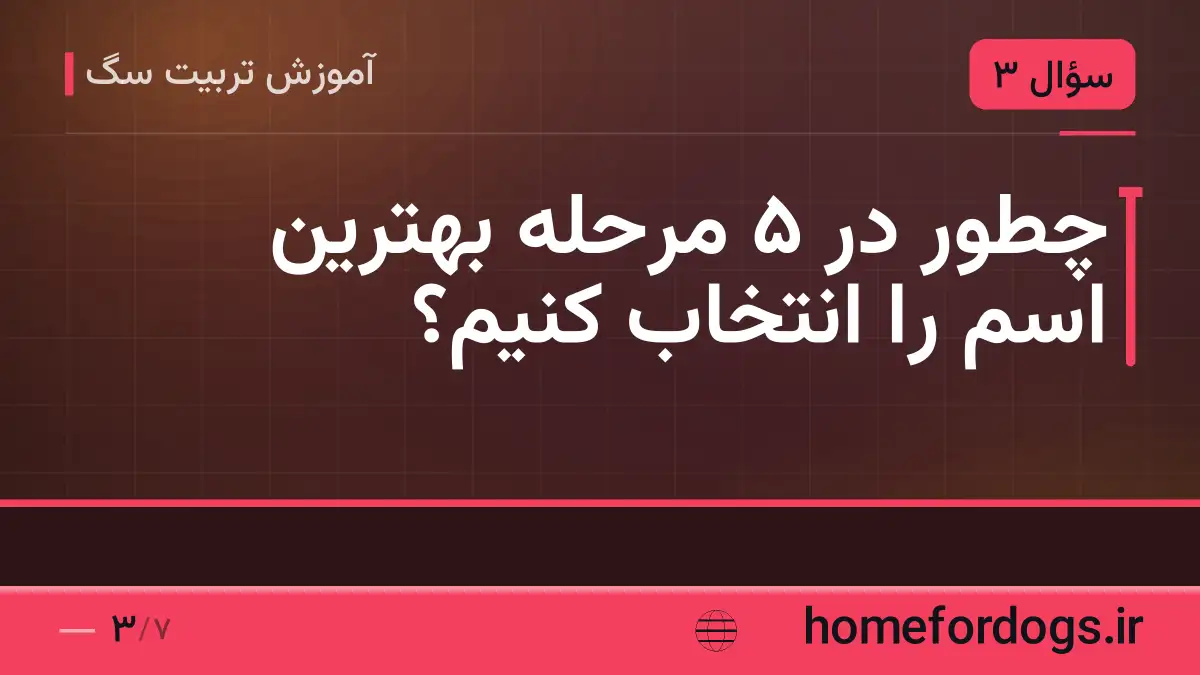 چطور در ۵ مرحله بهترین اسم را انتخاب کنیم؟