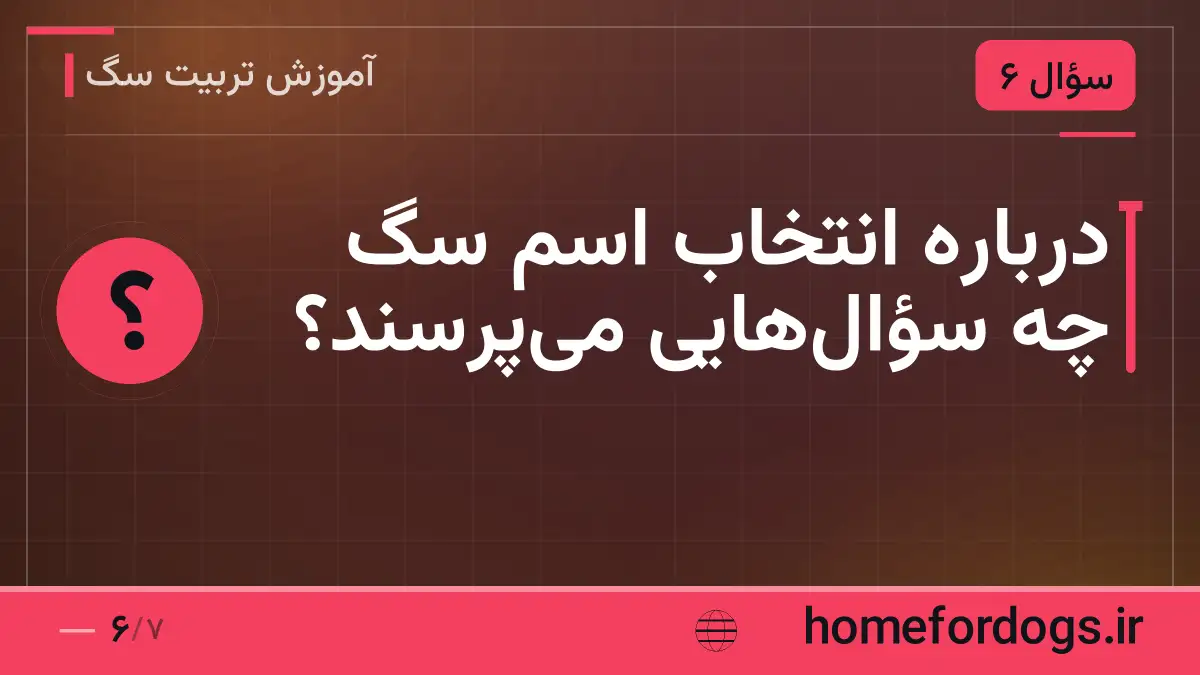 درباره انتخاب اسم سگ چه سؤال‌هایی می‌پرسند؟