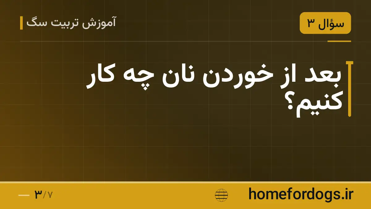 بعد از خوردن نان چه کار کنیم؟
