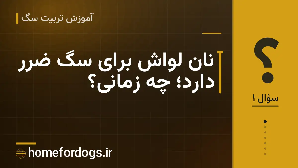 نان لواش برای سگ ضرر دارد؛ چه زمانی؟