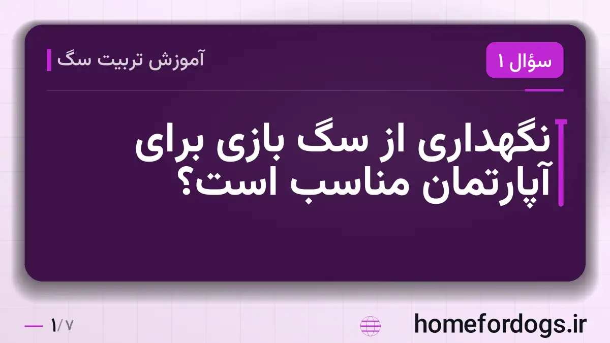 نگهداری از سگ بازی برای آپارتمان مناسب است؟