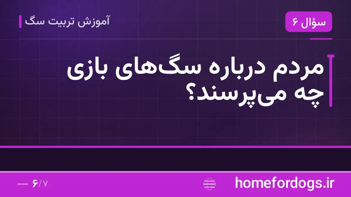 مردم درباره سگ‌های بازی چه می‌پرسند؟