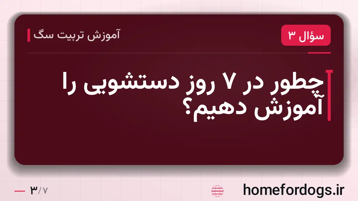 چطور در ۷ روز دستشویی را آموزش دهیم؟