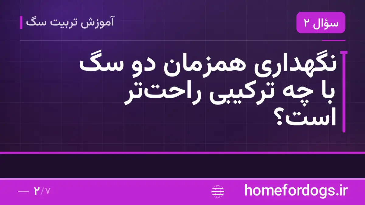 نگهداری همزمان دو سگ با چه ترکیبی راحت‌تر است؟