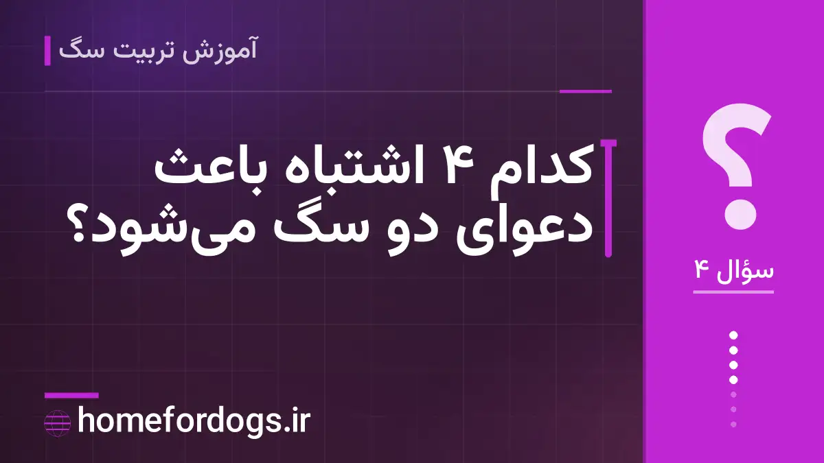 کدام ۴ اشتباه باعث دعوای دو سگ می‌شود؟
