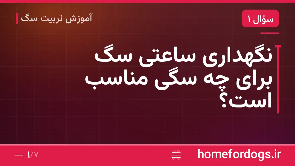 نگهداری ساعتی سگ برای چه سگی مناسب است؟
