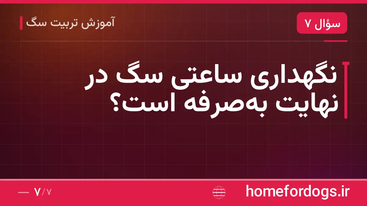 نگهداری ساعتی سگ در نهایت به‌صرفه است؟