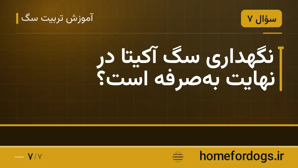 نگهداری سگ آکیتا در نهایت به‌صرفه است؟