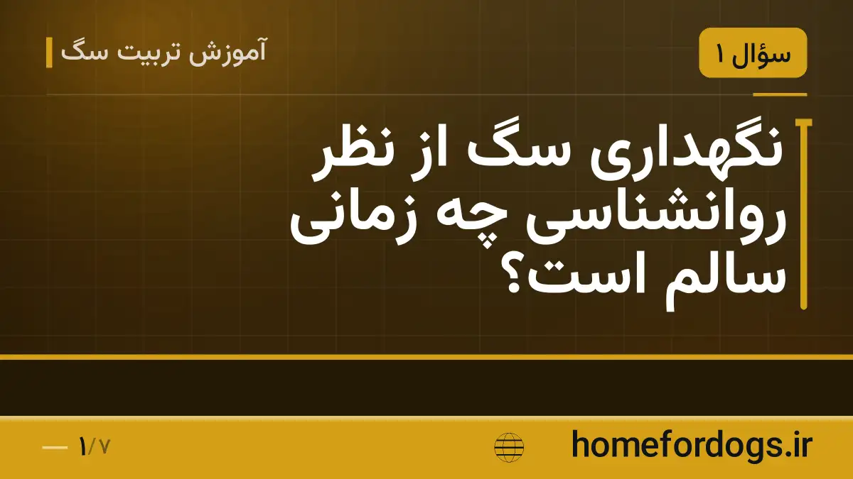 نگهداری سگ از نظر روانشناسی چه زمانی سالم است؟