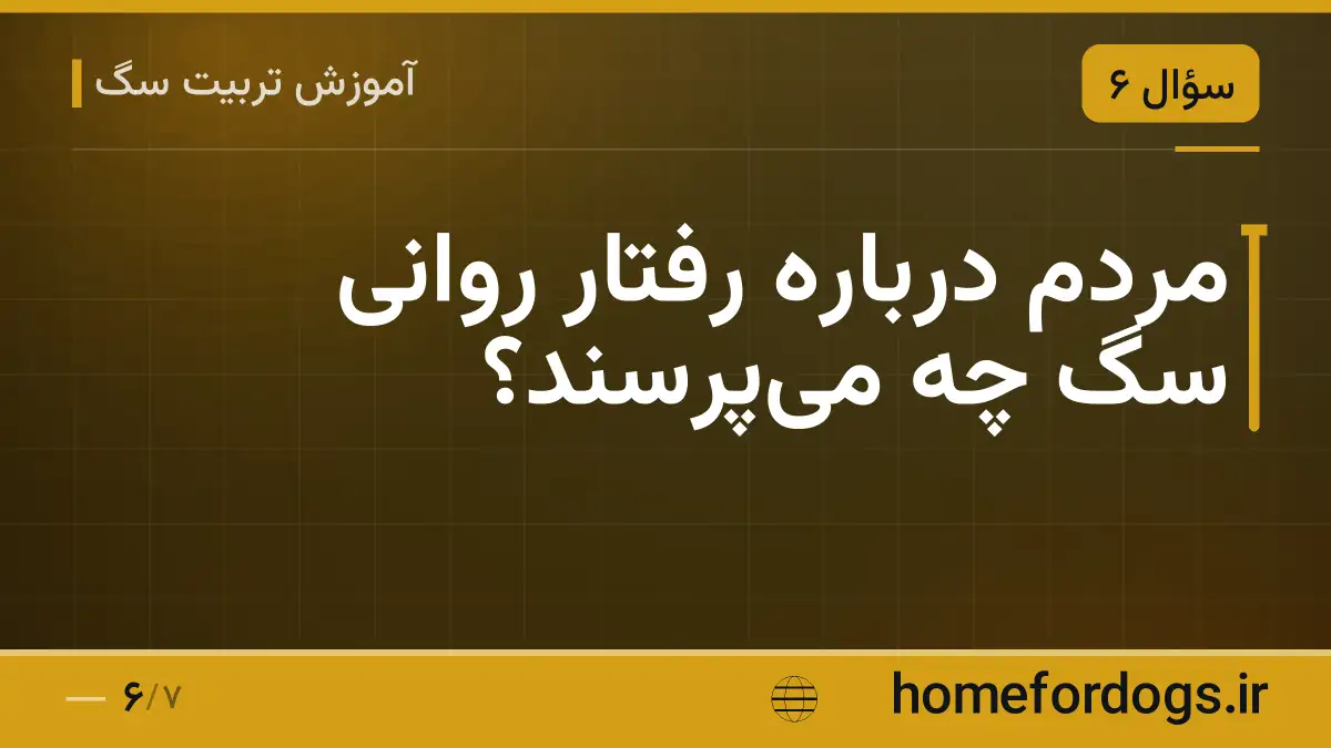 مردم درباره رفتار روانی سگ چه میپرسند؟