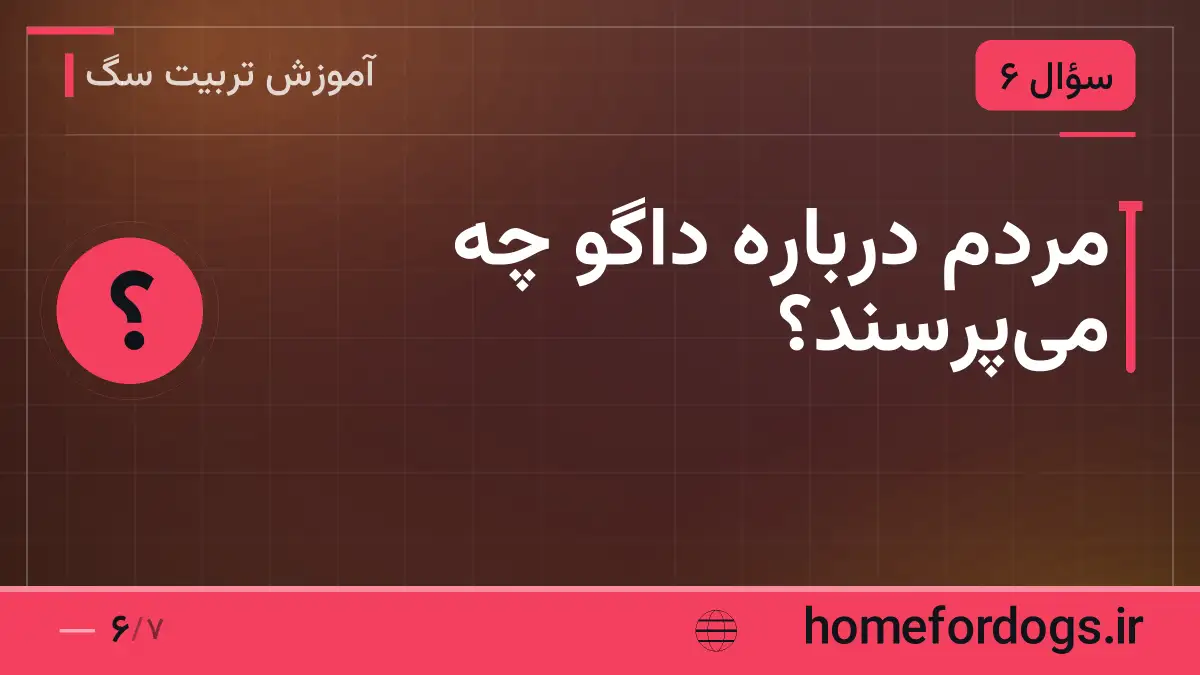 مردم درباره داگو چه میپرسند؟