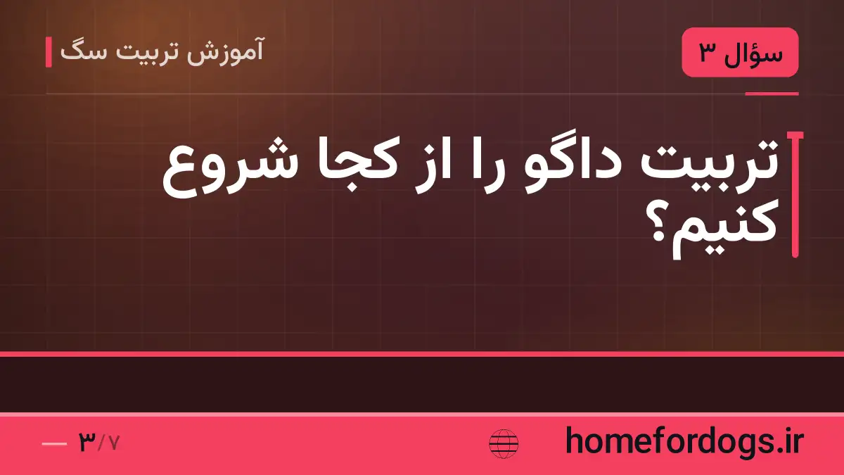 تربیت داگو را از کجا شروع کنیم؟