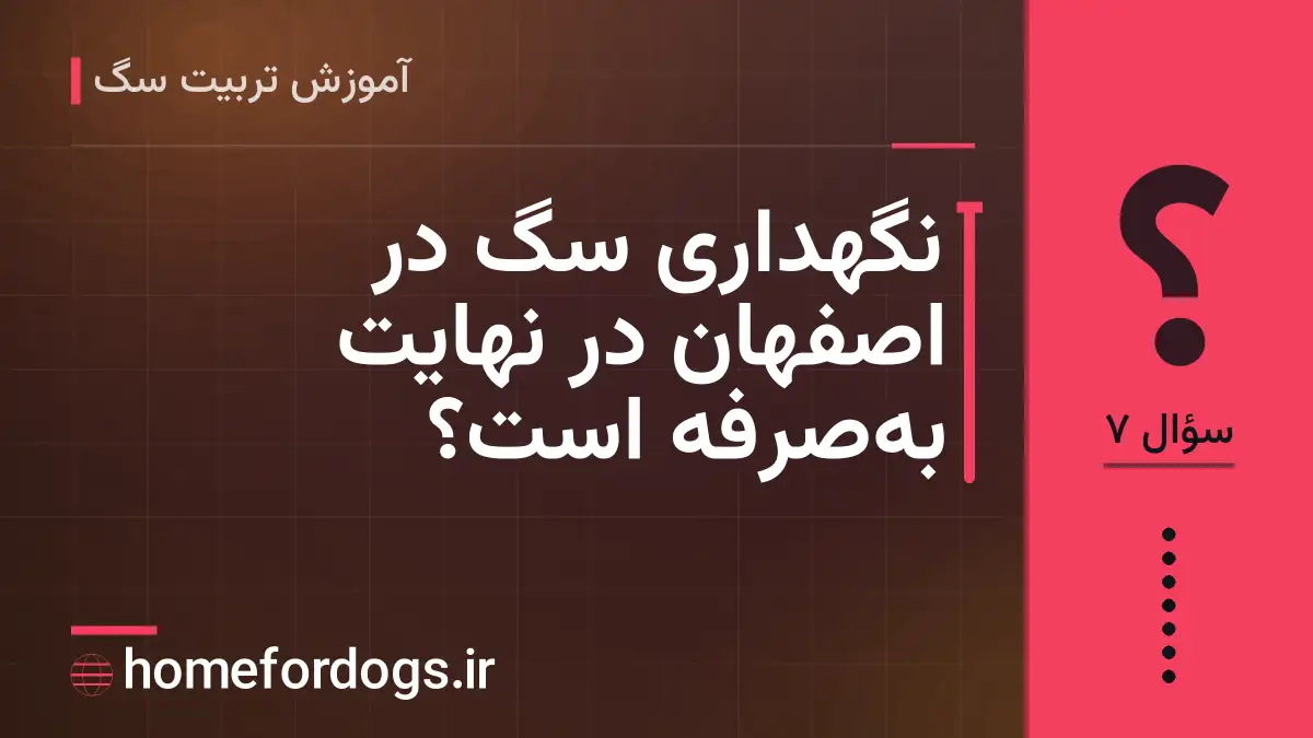 نگهداری سگ در اصفهان در نهایت به‌صرفه است؟