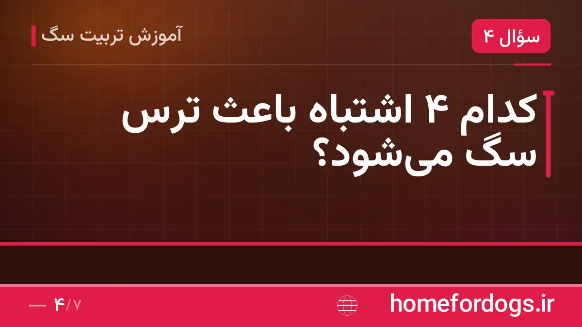 کدام ۴ اشتباه باعث ترس سگ می‌شود؟