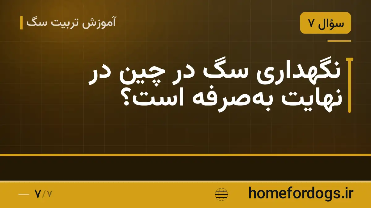 نگهداری سگ در چین در نهایت به‌صرفه است؟