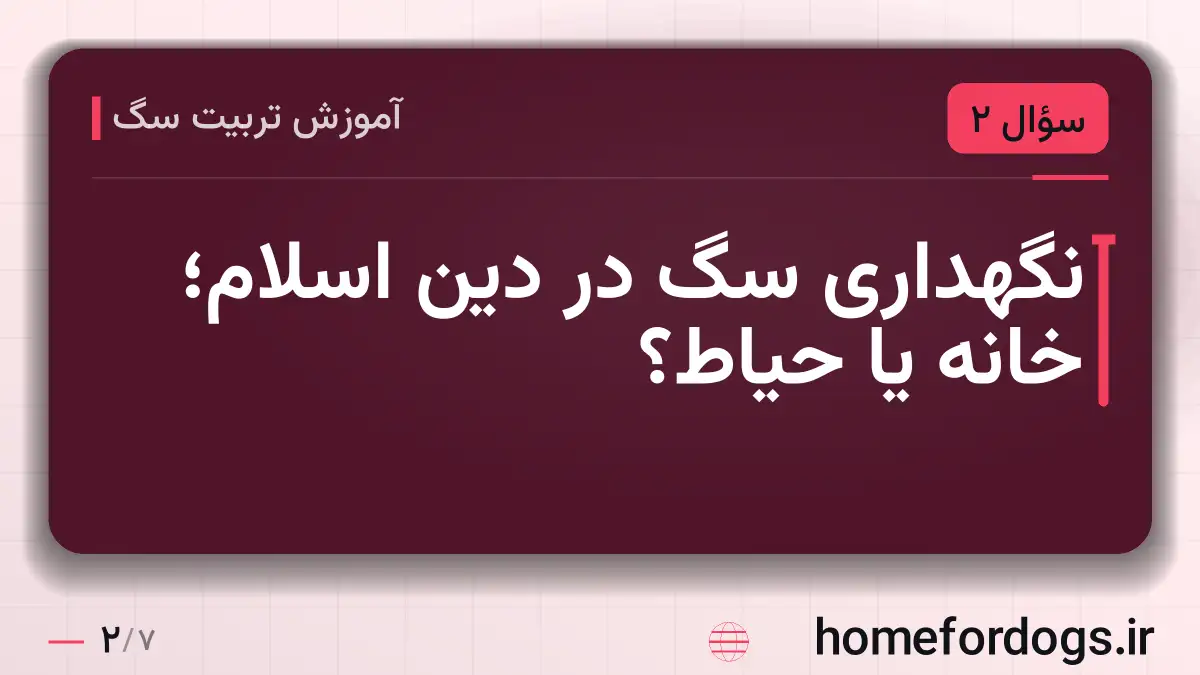 نگهداری سگ در دین اسلام؛ خانه یا حیاط؟