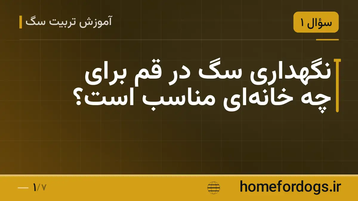 نگهداری سگ در قم برای چه خانه‌ای مناسب است؟