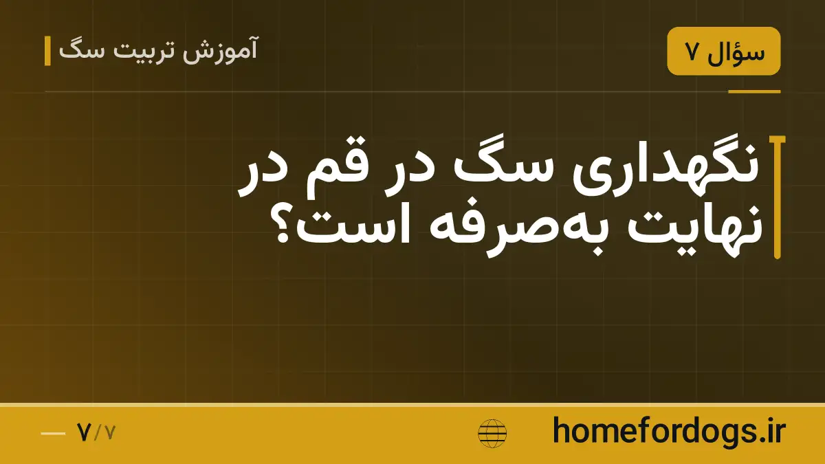 نگهداری سگ در قم در نهایت به‌صرفه است؟