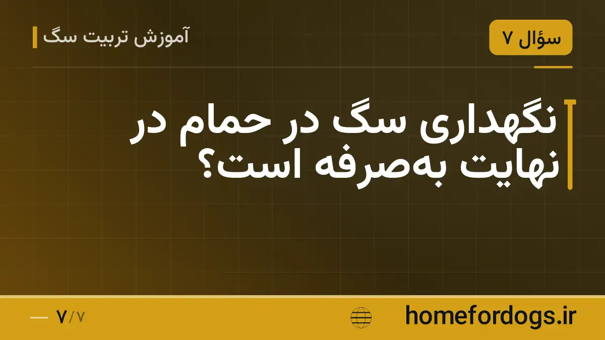 نگهداری سگ در حمام در نهایت به‌صرفه است؟
