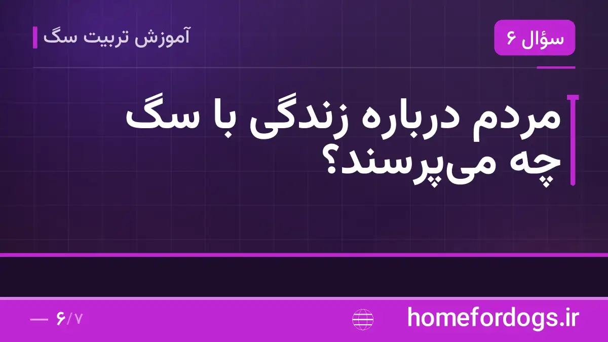 مردم درباره زندگی با سگ چه می‌پرسند؟