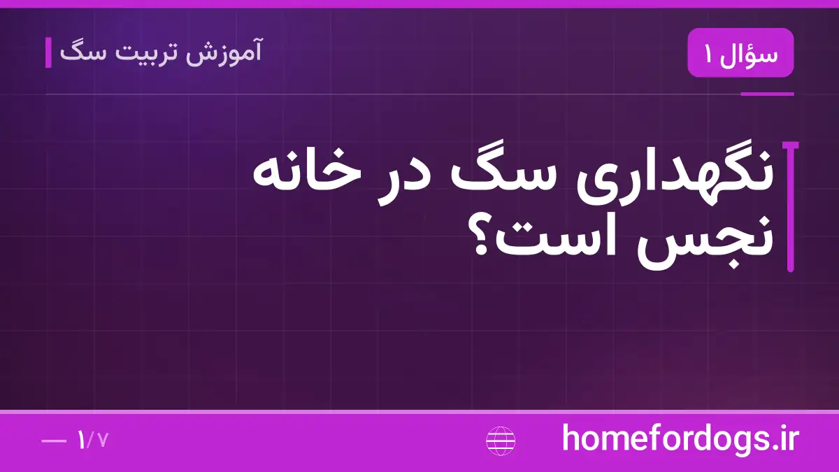 نگهداری سگ در خانه نجس است؟