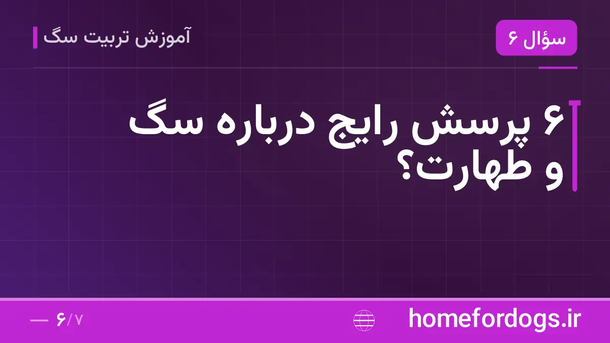 ۶ پرسش رایج درباره سگ و طهارت؟