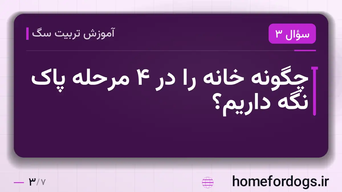 چگونه خانه را در ۴ مرحله پاک نگه داریم؟