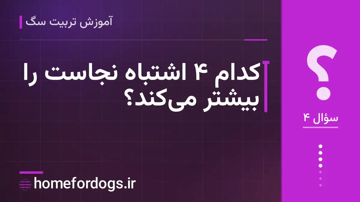 کدام ۴ اشتباه نجاست را بیشتر میکند؟