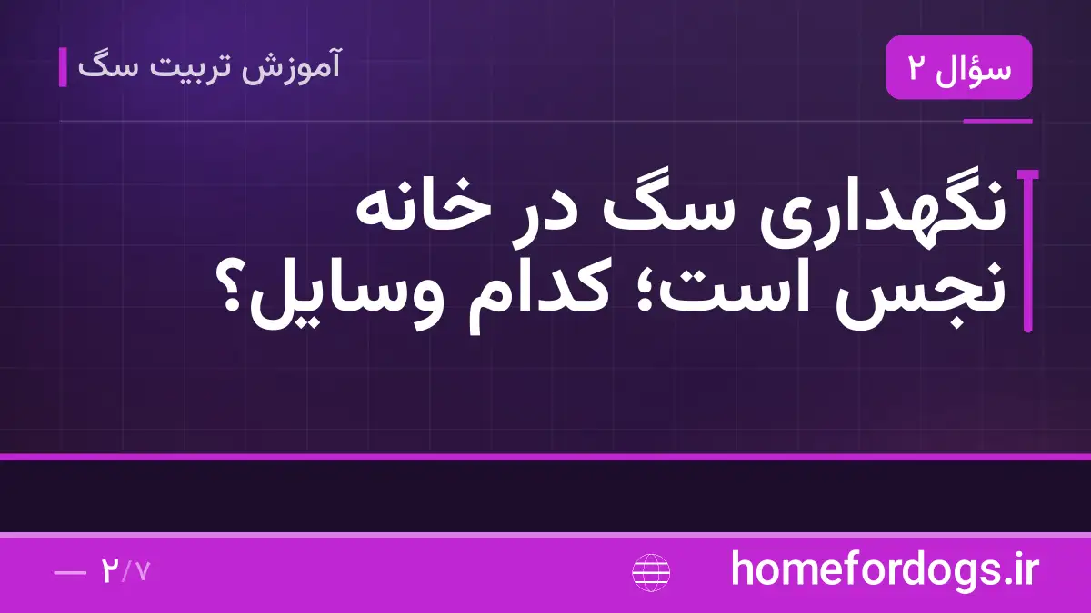 نگهداری سگ در خانه نجس است؛ کدام وسایل؟