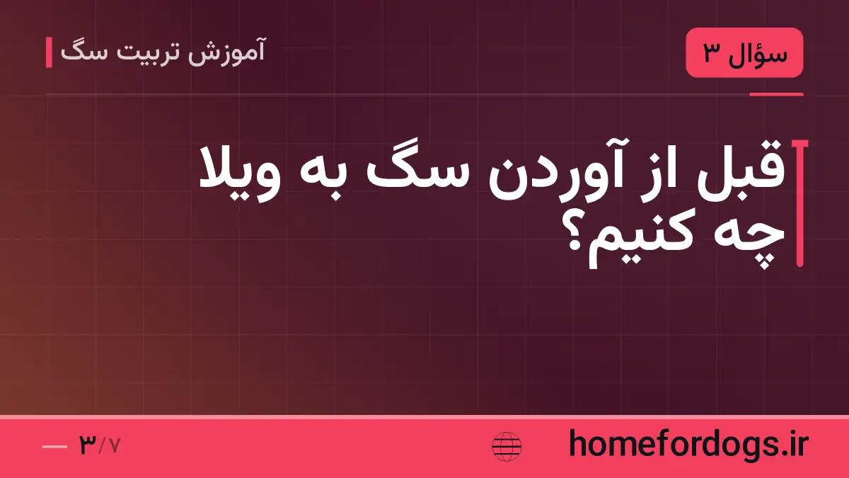 قبل از آوردن سگ به ویلا چه کنیم؟