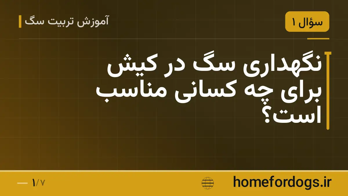 نگهداری سگ در کیش برای چه کسانی مناسب است؟