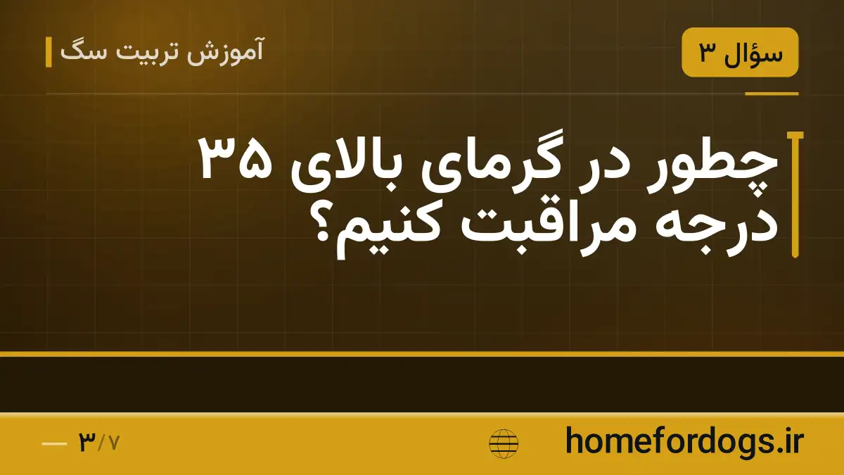 چطور در گرمای بالای ۳۵ درجه مراقبت کنیم؟