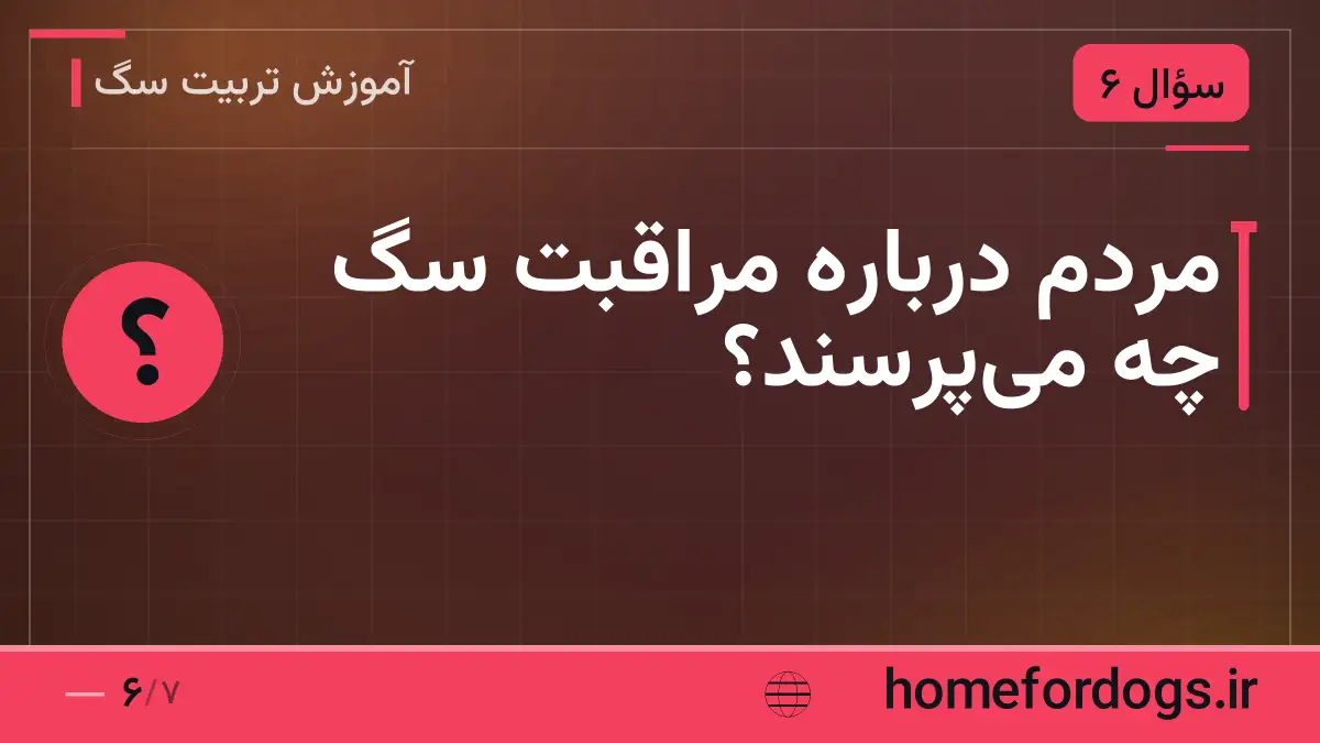 مردم درباره مراقبت سگ چه میپرسند؟