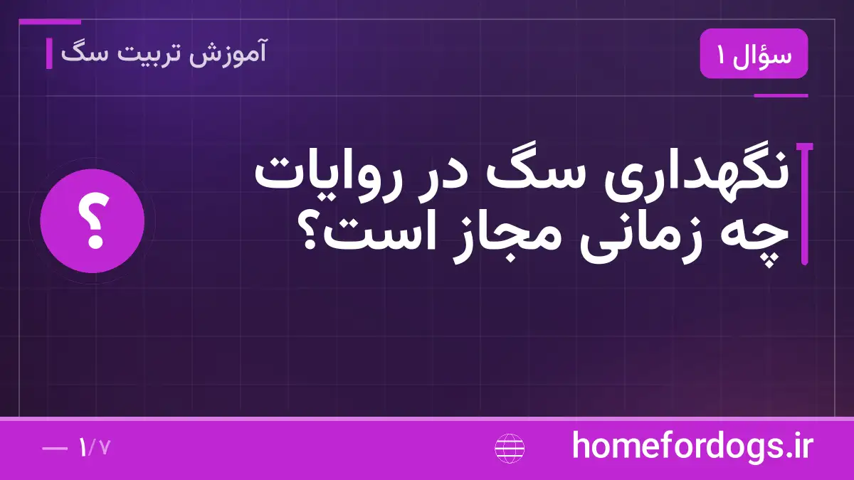 نگهداری سگ در روایات چه زمانی مجاز است؟