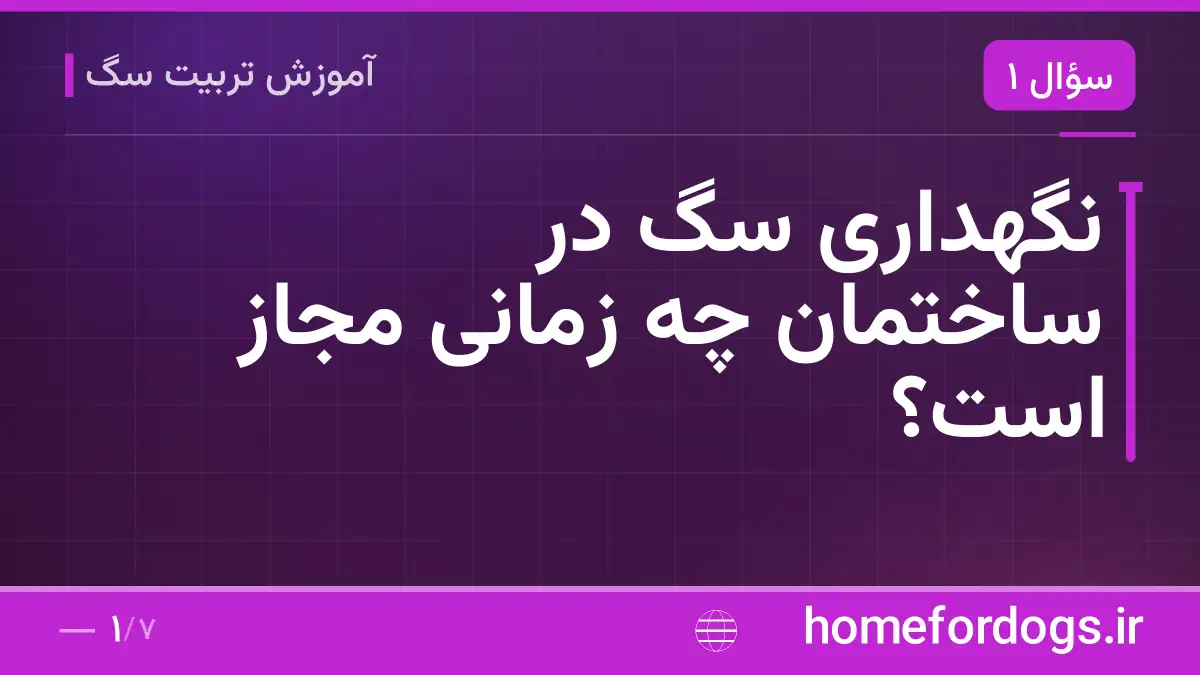 نگهداری سگ در ساختمان چه زمانی مجاز است؟