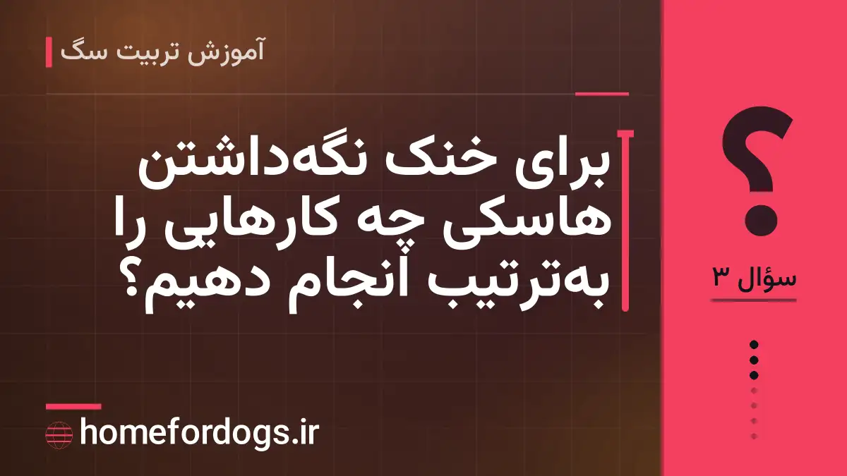 برای خنک نگه‌داشتن هاسکی چه کارهایی را به‌ترتیب انجام دهیم؟