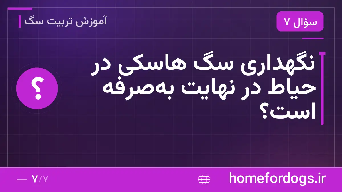 نگهداری سگ هاسکی در حیاط در نهایت بهصرفه است؟