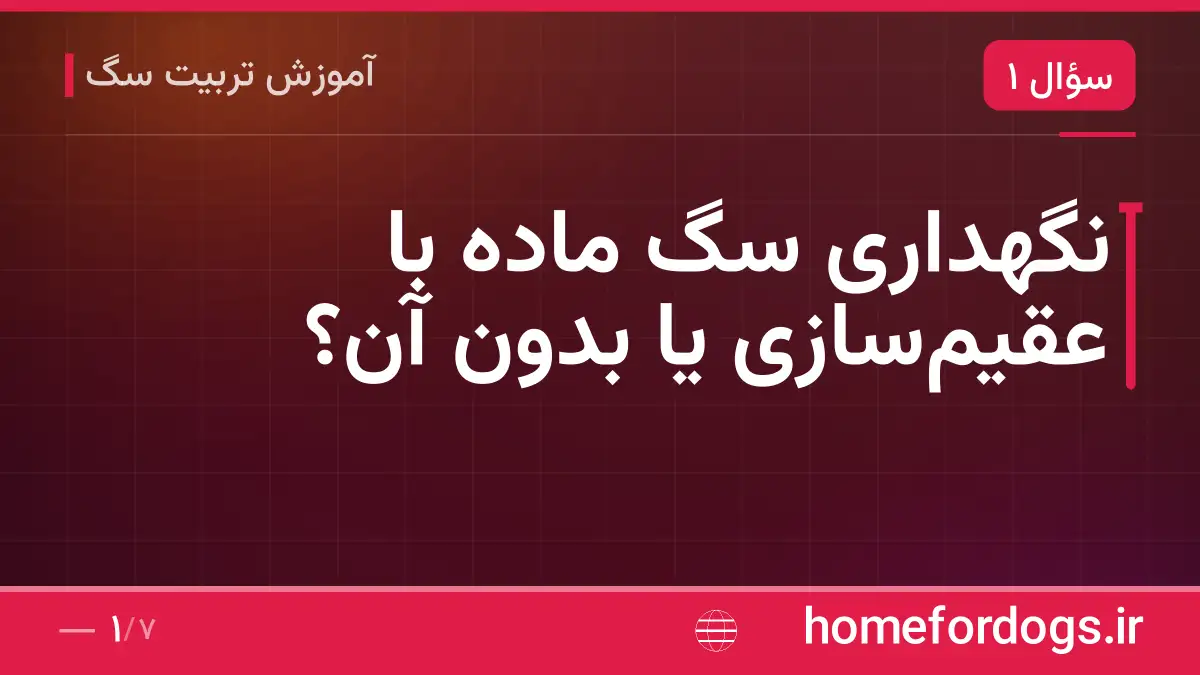 نگهداری سگ ماده با عقیم‌سازی یا بدون آن؟