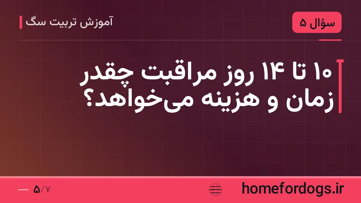 ۱۰ تا ۱۴ روز مراقبت چقدر زمان و هزینه می‌خواهد؟
