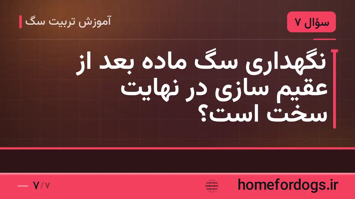 نگهداری سگ ماده بعد از عقیم سازی در نهایت سخت است؟