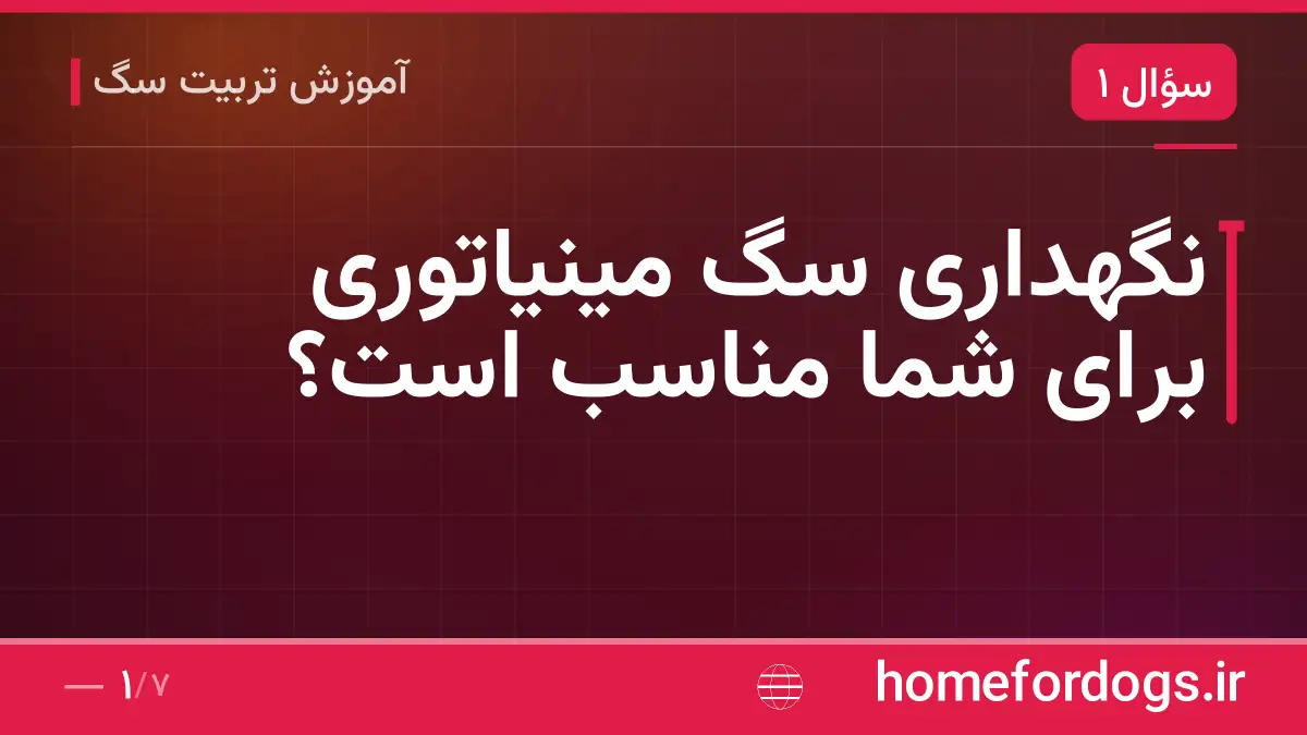 نگهداری سگ مینیاتوری برای شما مناسب است؟
