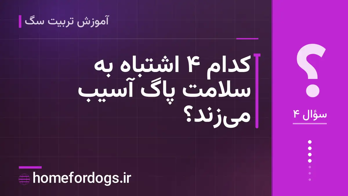 کدام ۴ اشتباه به سلامت پاگ آسیب می‌زند؟