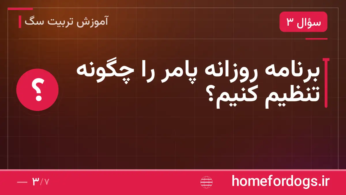 برنامه روزانه پامر را چگونه تنظیم کنیم؟