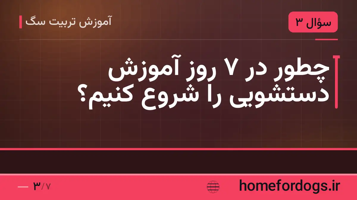 چطور در ۷ روز آموزش دستشویی را شروع کنیم؟
