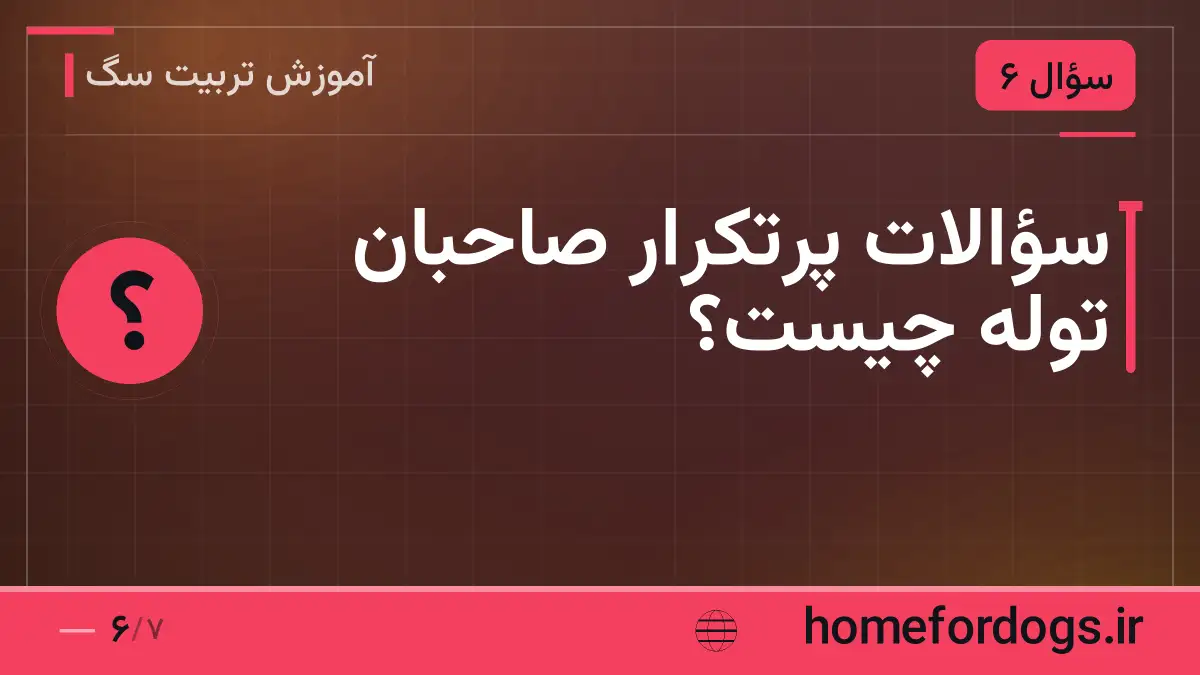 سؤالات پرتکرار صاحبان توله چیست؟